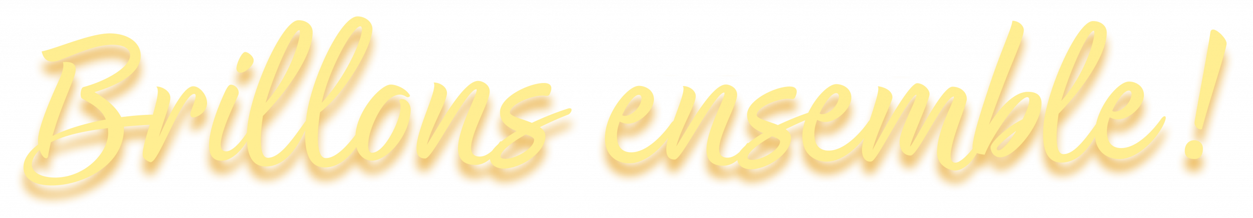 brillons ensemble scaled.png