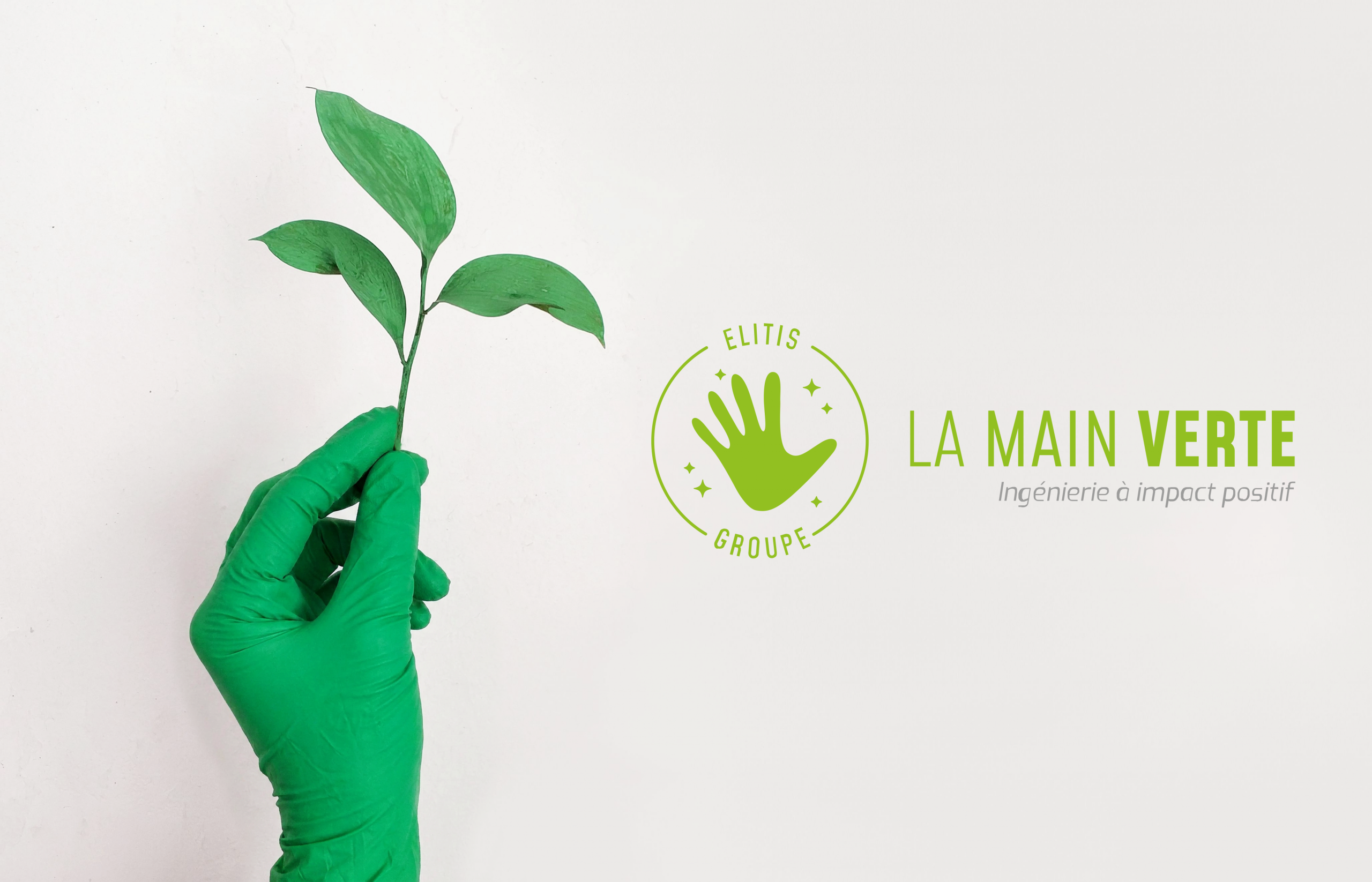 la main verte elitis groupe