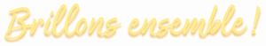 brillons ensemble scaled.png